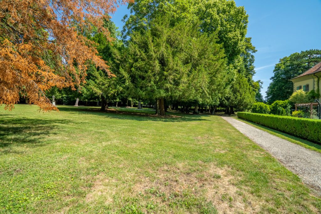 Exclusivité ! 7,5 pièces en duplex au Château Barillet