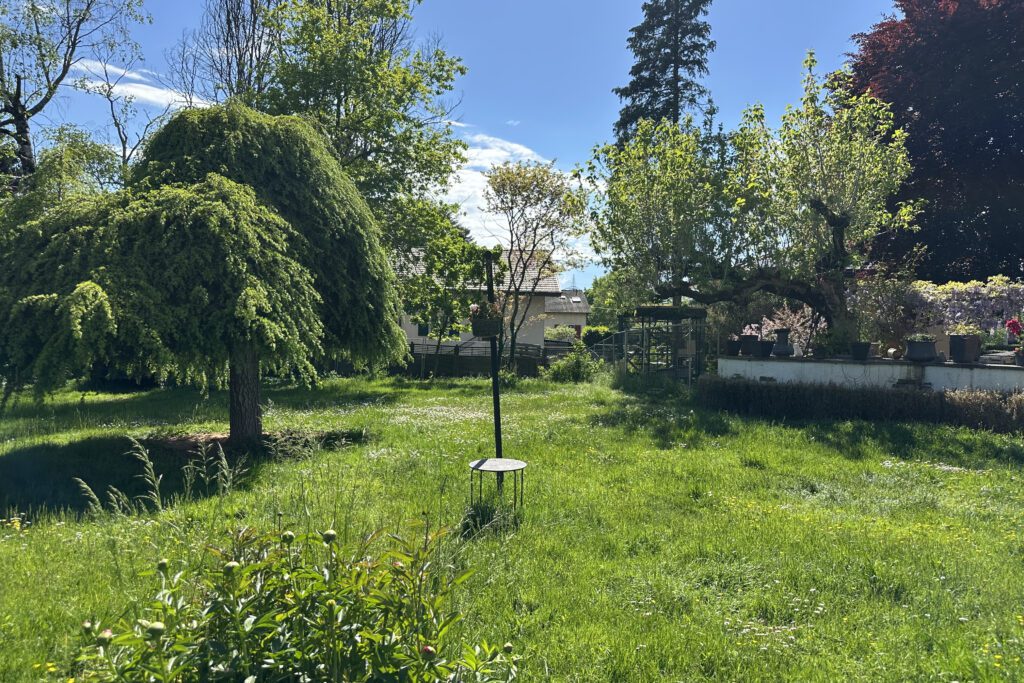 Villa avec magnifique parc
