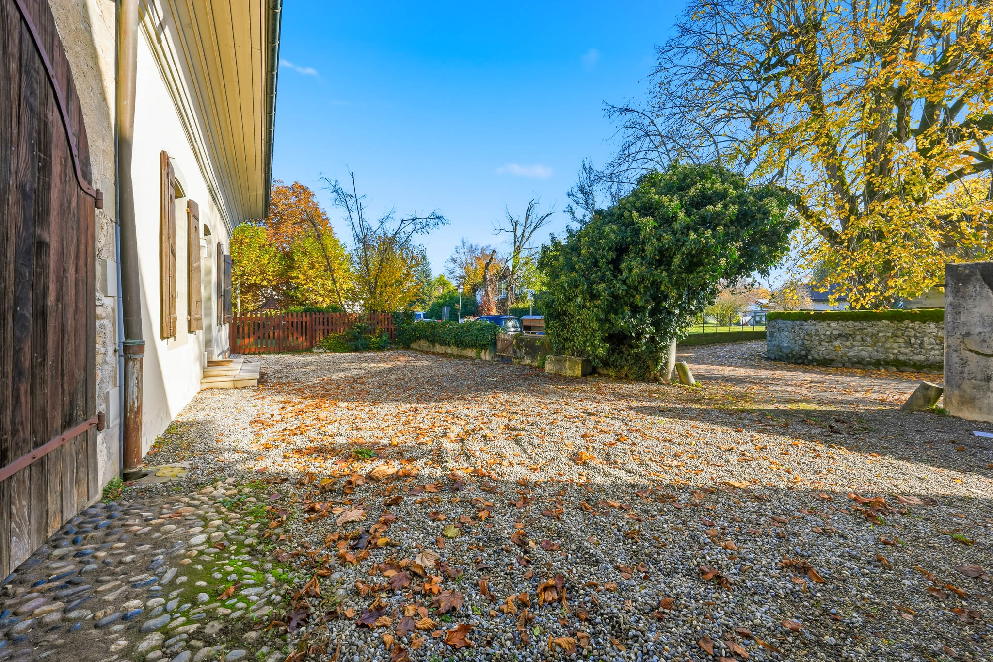 cayden-cartigny-cour