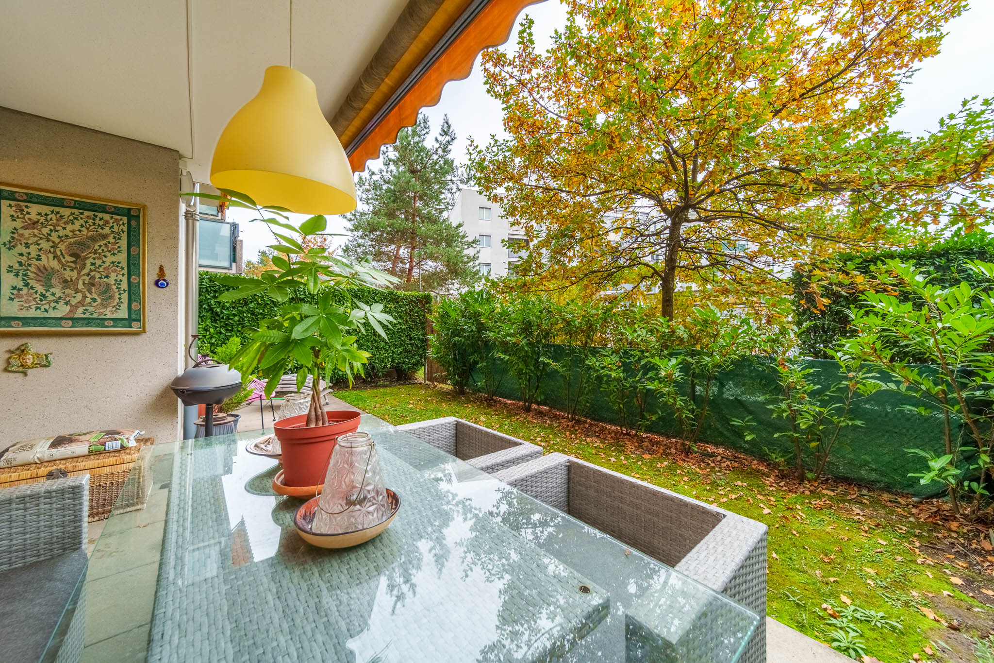 cayden.vernier.terrasse