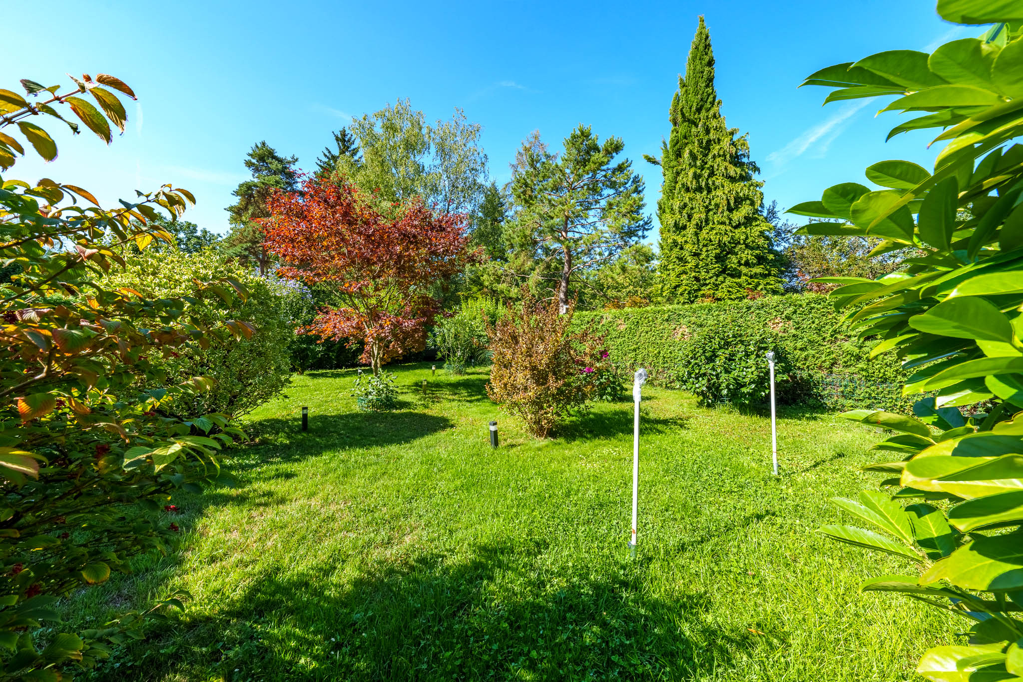 cayden-dardagny-jardin