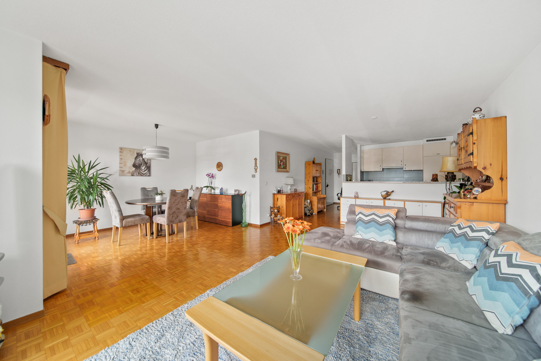 cayden-vich-salon-sejour-cuisine