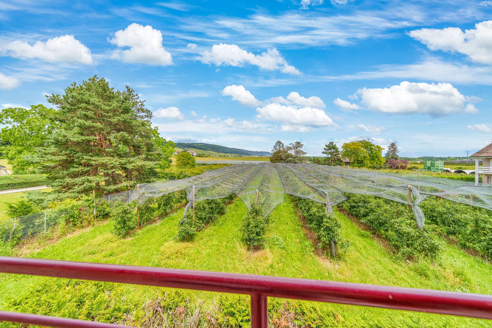 cayden-vich-vaud-appartement-vue
