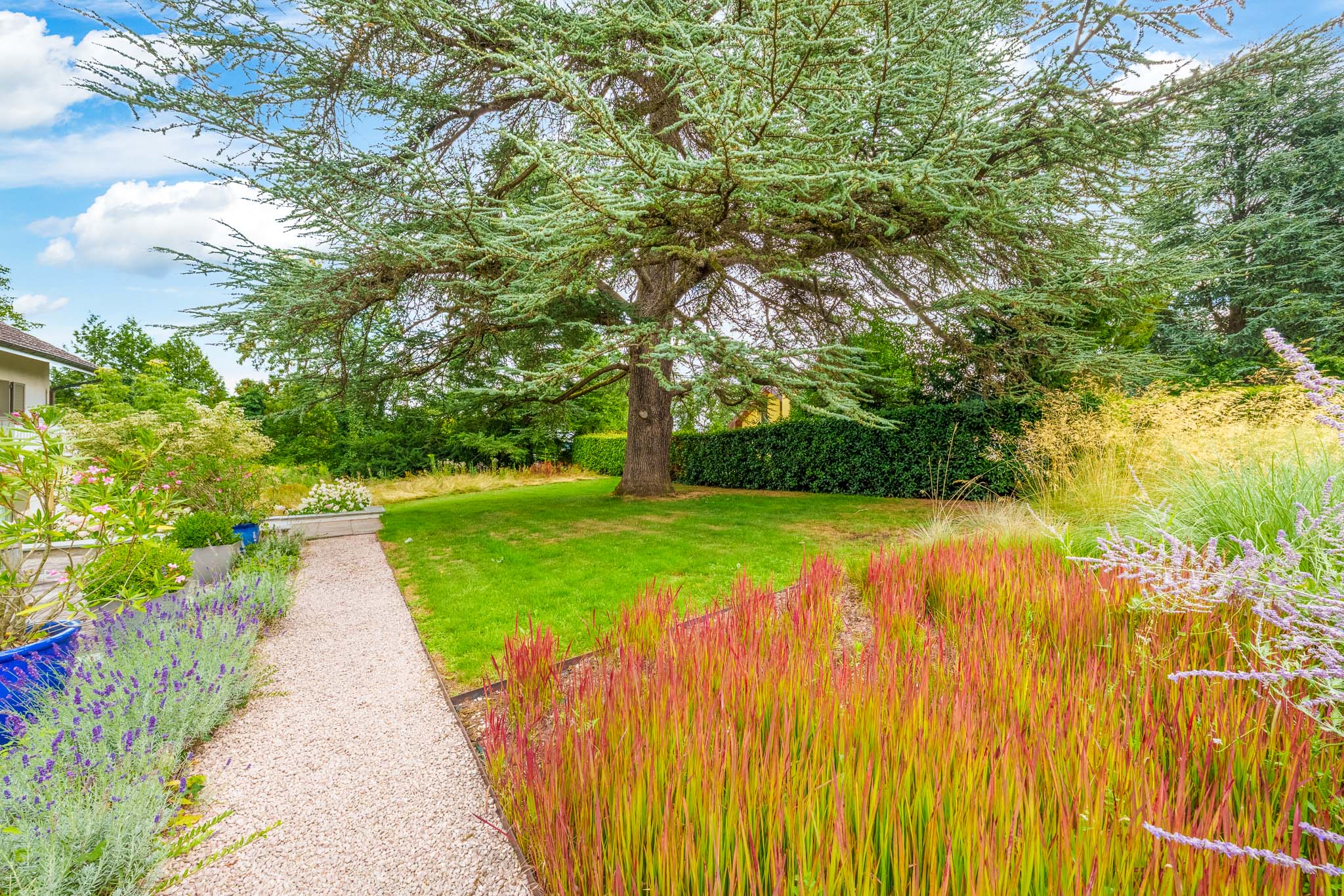 versoix.jardin.cayden