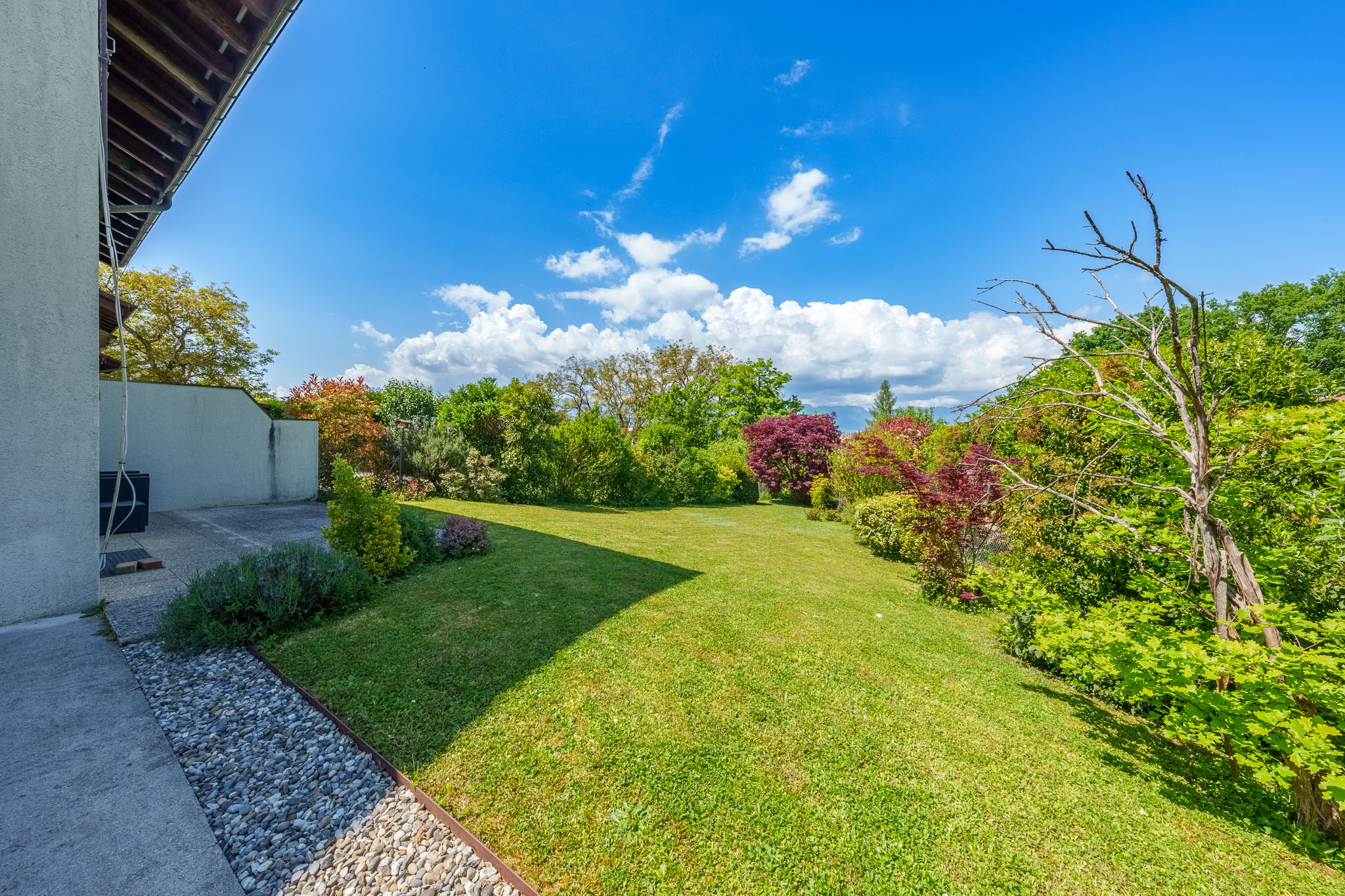 cayden-grand-saconnex-jardin-2