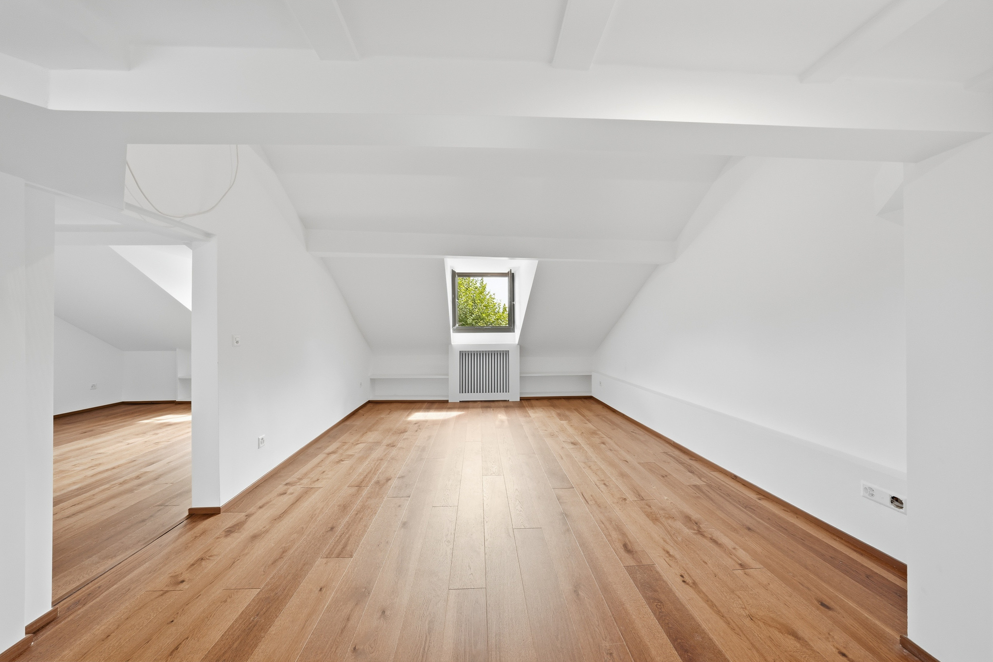 CaydenBellevueappartementsalonchambre